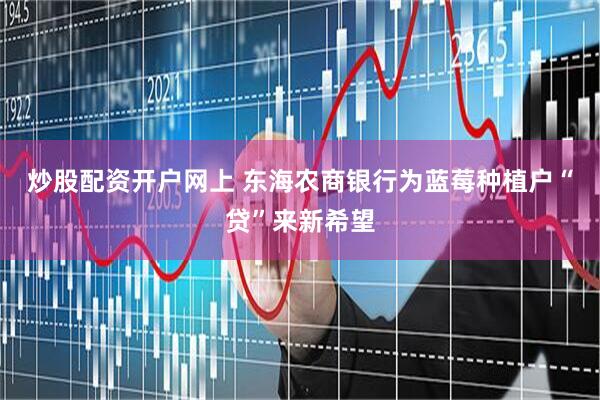 炒股配资开户网上 东海农商银行为蓝莓种植户“贷”来新希望