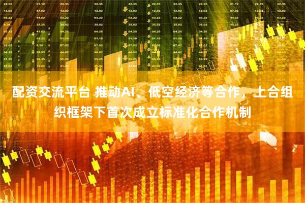 配资交流平台 推动AI、低空经济等合作，上合组织框架下首次成立标准化合作机制