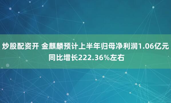 炒股配资开 金麒麟预计上半年归母净利润1.06亿元 同比增长222.36%左右